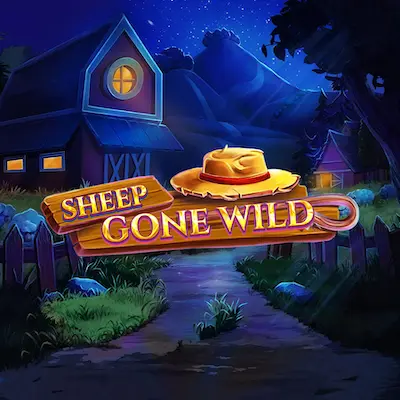 Sheep Gone Wild